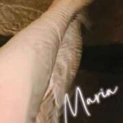 ヒメ日記 2025/02/12 12:29 投稿 まりあ奥様 デザイア日本橋