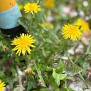 ヒメ日記 2025/04/13 09:36 投稿 まりあ奥様 デザイア日本橋