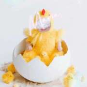 ヒメ日記 2025/05/19 21:09 投稿 まりあ奥様 デザイア日本橋