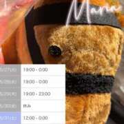 ヒメ日記 2025/05/28 10:00 投稿 まりあ奥様 デザイア日本橋