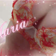 ヒメ日記 2026/04/17 00:01 投稿 まりあ奥様 デザイア日本橋