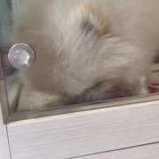 ヒメ日記 2025/02/12 17:57 投稿 ゆうな ベイキュート