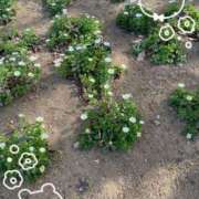 ヒメ日記 2025/03/21 19:47 投稿 ゆうな ベイキュート