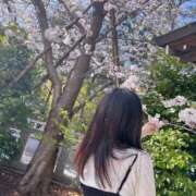 ヒメ日記 2025/04/04 19:57 投稿 ゆうな ベイキュート