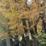 ヒメ日記 2025/11/28 10:57 投稿 ゆうな ベイキュート