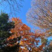 ヒメ日記 2025/12/12 09:47 投稿 ゆうな ベイキュート