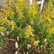 ゆうな おはよう🐱 ベイキュート