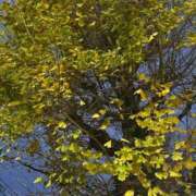 ヒメ日記 2025/12/19 10:27 投稿 ゆうな ベイキュート