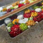 ヒメ日記 2026/01/02 16:17 投稿 ゆうな ベイキュート