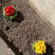 ヒメ日記 2026/01/12 16:47 投稿 ゆうな ベイキュート