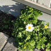 ヒメ日記 2026/02/10 12:17 投稿 ゆうな ベイキュート