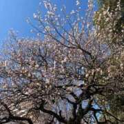 ヒメ日記 2026/02/16 07:57 投稿 ゆうな ベイキュート