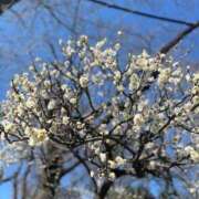 ヒメ日記 2026/02/22 09:32 投稿 ゆうな ベイキュート