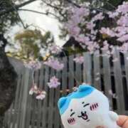 ヒメ日記 2026/04/10 07:37 投稿 ゆうな ベイキュート