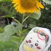 ヒメ日記 2026/09/03 11:17 投稿 ゆうな ベイキュート