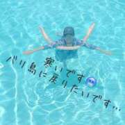 ヒメ日記 2025/03/15 09:42 投稿 まり 出会い系人妻ネットワーク錦糸町～小岩編