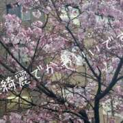 ヒメ日記 2025/03/31 08:41 投稿 まり 出会い系人妻ネットワーク錦糸町～小岩編