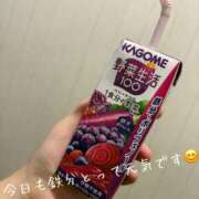 ヒメ日記 2025/04/14 09:01 投稿 まり 出会い系人妻ネットワーク錦糸町～小岩編