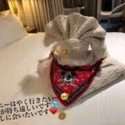 ヒメ日記 2026/04/17 09:28 投稿 まり 出会い系人妻ネットワーク錦糸町～小岩編