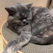 ヒメ日記 2025/12/19 13:25 投稿 るい 出会い系人妻ネットワーク錦糸町～小岩編