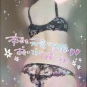 ヒメ日記 2025/03/07 11:06 投稿 きさき club さくら日本橋店