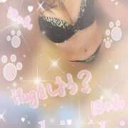 ヒメ日記 2025/11/20 19:20 投稿 きさき 奥様さくら日本橋店