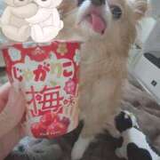 ヒメ日記 2025/05/19 19:58 投稿 セナ OPELA（オペラ）