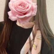 ヒメ日記 2026/04/20 11:15 投稿 光 Mrs.Deep SPA（ディープスパ）