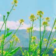 ヒメ日記 2026/02/18 15:45 投稿 三浦 Mrs.Deep SPA（ディープスパ）