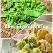 ヒメ日記 2026/03/13 19:35 投稿 三浦 Mrs.Deep SPA（ディープスパ）