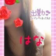 ヒメ日記 2025/03/11 08:05 投稿 はな 待ちナビ