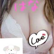 ヒメ日記 2025/04/10 10:16 投稿 はな 待ちナビ