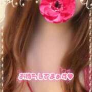 ヒメ日記 2025/12/10 14:11 投稿 はな 待ちナビ