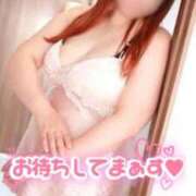 ヒメ日記 2026/01/29 06:45 投稿 はな 待ちナビ