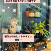 ヒメ日記 2026/03/18 10:15 投稿 美坂 Mrs.Deep SPA（ディープスパ）