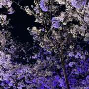 ヒメ日記 2026/04/08 14:15 投稿 美坂 Mrs.Deep SPA（ディープスパ）