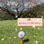 ヒメ日記 2026/04/10 13:15 投稿 美坂 Mrs.Deep SPA（ディープスパ）