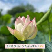 ヒメ日記 2026/06/29 12:55 投稿 美坂 Mrs.Deep SPA（ディープスパ）