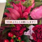 ヒメ日記 2026/09/07 09:55 投稿 美坂 Mrs.Deep SPA（ディープスパ）