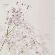 ヒメ日記 2025/08/25 21:16 投稿 アズサ ラブコレクション