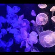 ヒメ日記 2025/12/02 12:07 投稿 日向ここみ＠デカ尻桃色看護 アナラードライ