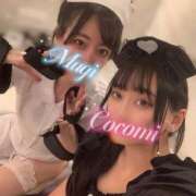 ヒメ日記 2026/02/01 13:31 投稿 日向ここみ＠デカ尻桃色看護 アナラードライ