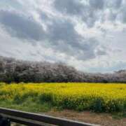 ヒメ日記 2025/04/19 10:12 投稿 ひな バニラシュガー古河店