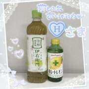 ヒメ日記 2025/04/14 21:44 投稿 うな パンドラ(上野)