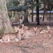 ヒメ日記 2025/02/16 14:02 投稿 ゆき マダム可憐
