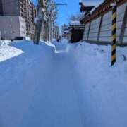 ヒメ日記 2025/02/22 15:55 投稿 ゆき マダム可憐