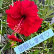 ヒメ日記 2025/07/18 10:28 投稿 大橋さくら 月の真珠-新宿-