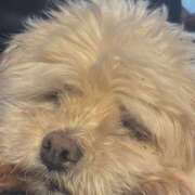 ヒメ日記 2025/05/19 09:09 投稿 るな ハピネス札幌