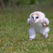 ヒメ日記 2025/06/16 12:22 投稿 めれ チューリップ福井本館