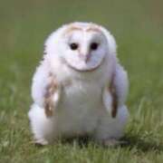 ヒメ日記 2025/06/17 12:24 投稿 めれ チューリップ福井本館